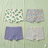 Boxers